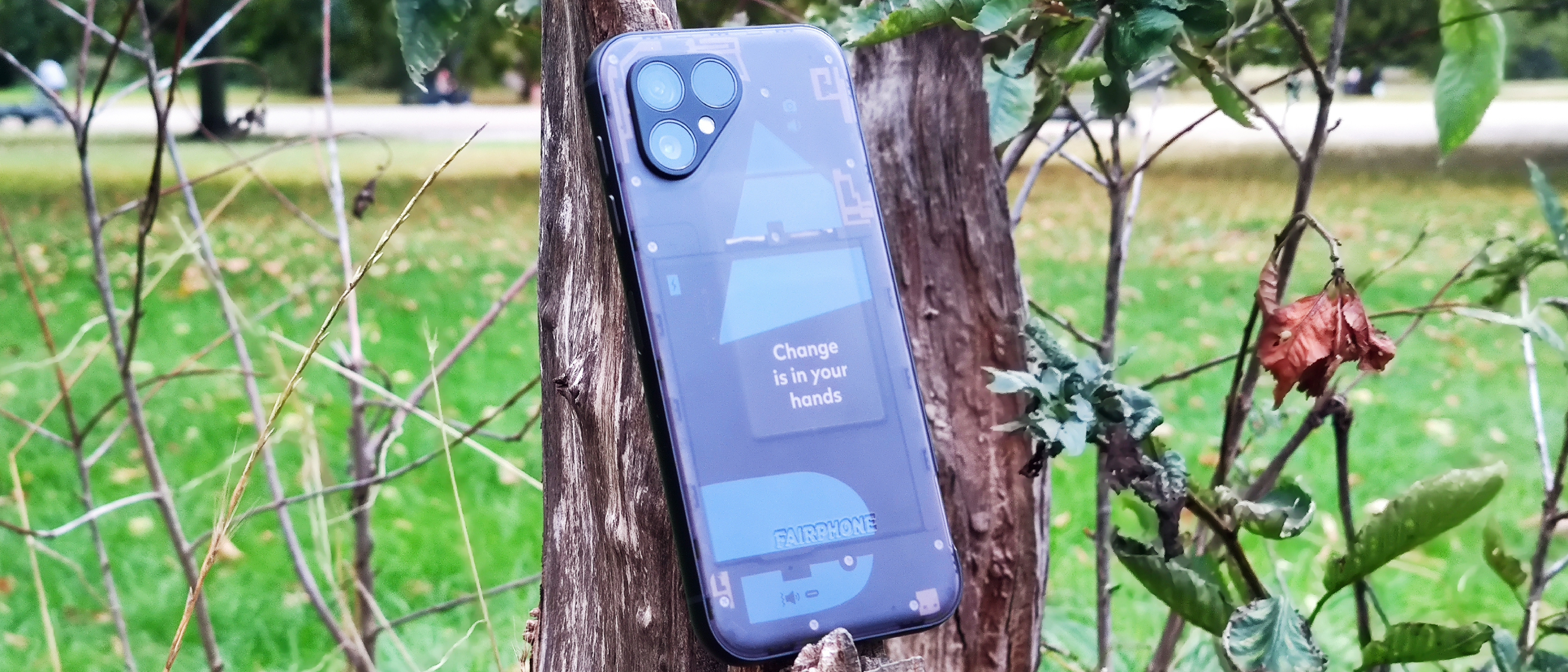 A Fairphone 5 resting on a tree stump, emphasizing durability and modularity.