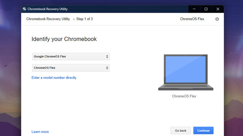 A software window displaying the progress and options for the ChromeOS Flex installation process.