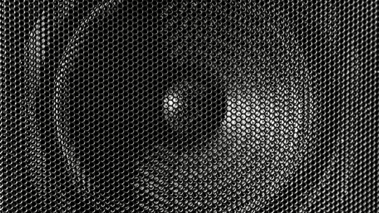 Close-up of a large circular bass speaker driver protected by a mesh grille.