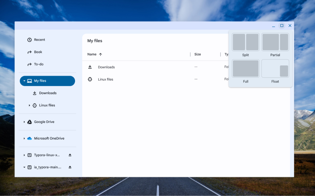 An open web application window on the ChromeOS Flex desktop showing window navigation.