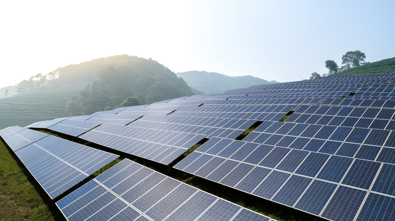 A large field filled with rows of blue photovoltaic solar panels under a clear sky.