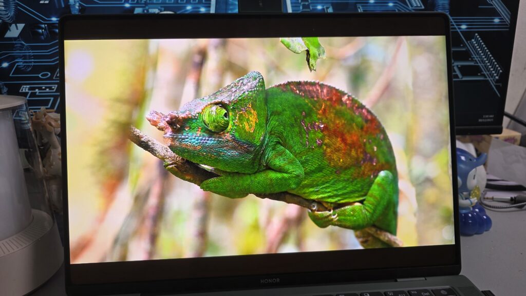The 14.6-inch 3.1K OLED touchscreen display showing vibrant colors and thin bezels.