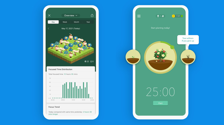 Forest app interface showing a virtual forest grown during focused work sessions.