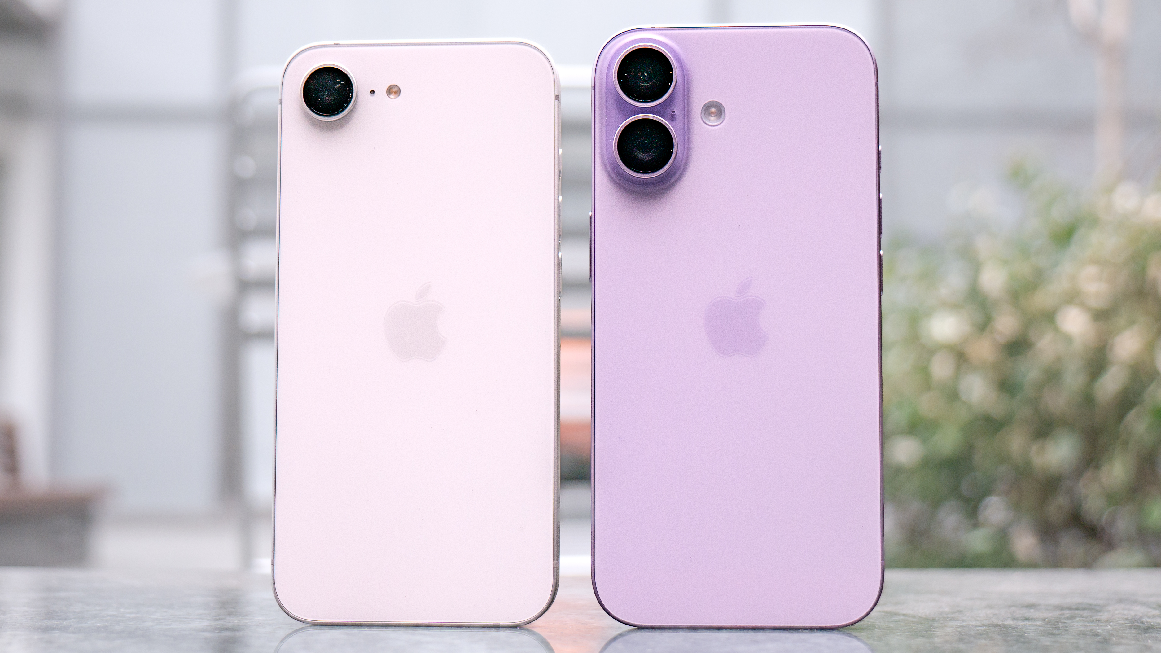 Side-by-side comparison of the iPhone 17 and iPhone 17e rear designs