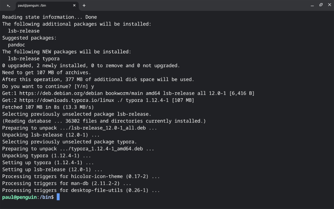 The Linux development environment terminal and settings running within ChromeOS Flex.