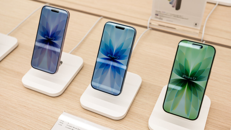 A front and side view of the standard base model iPhone.