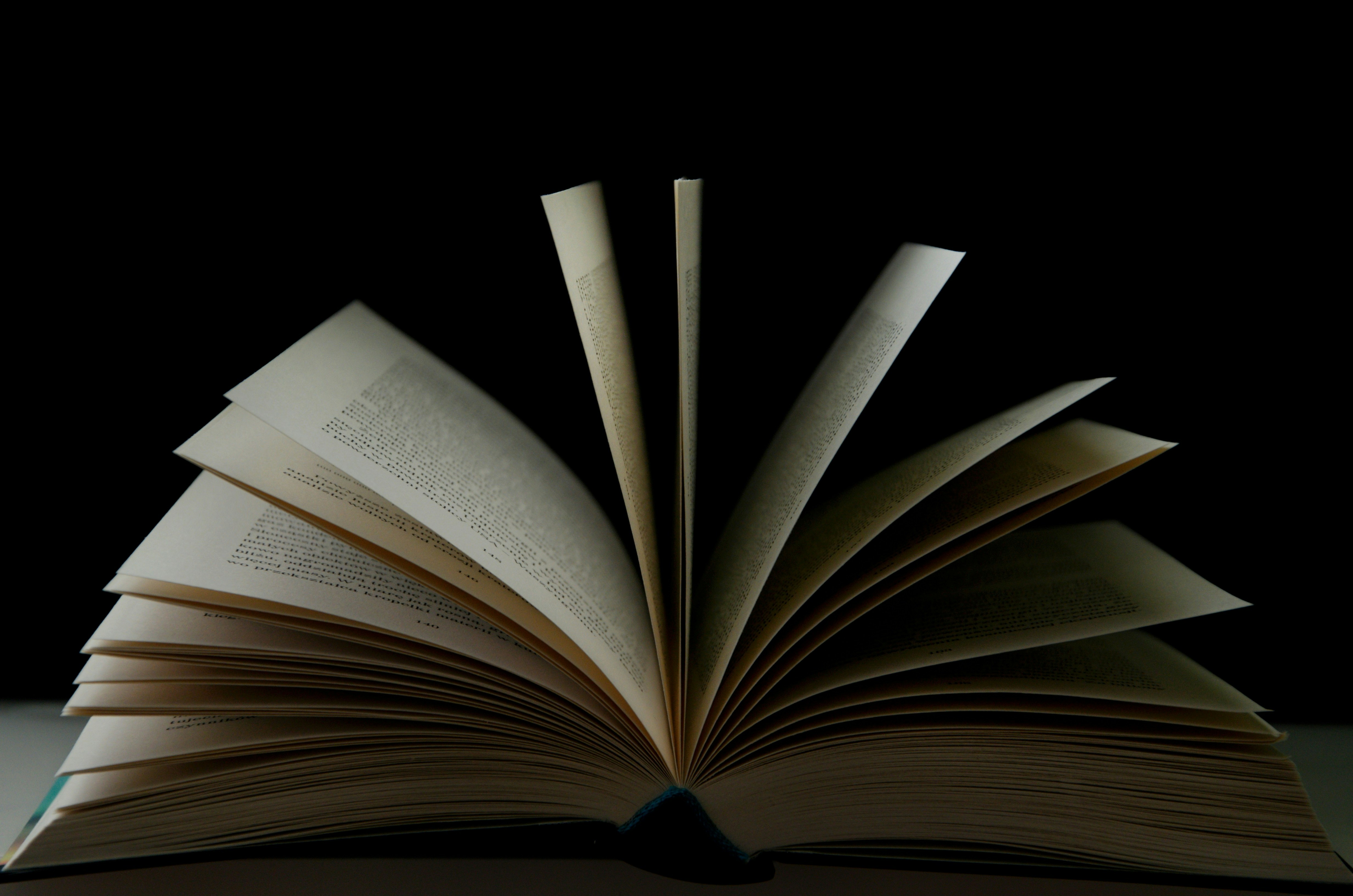 Extremely close-up shot showing the crisp, ink-like pixels on a Kindle screen.