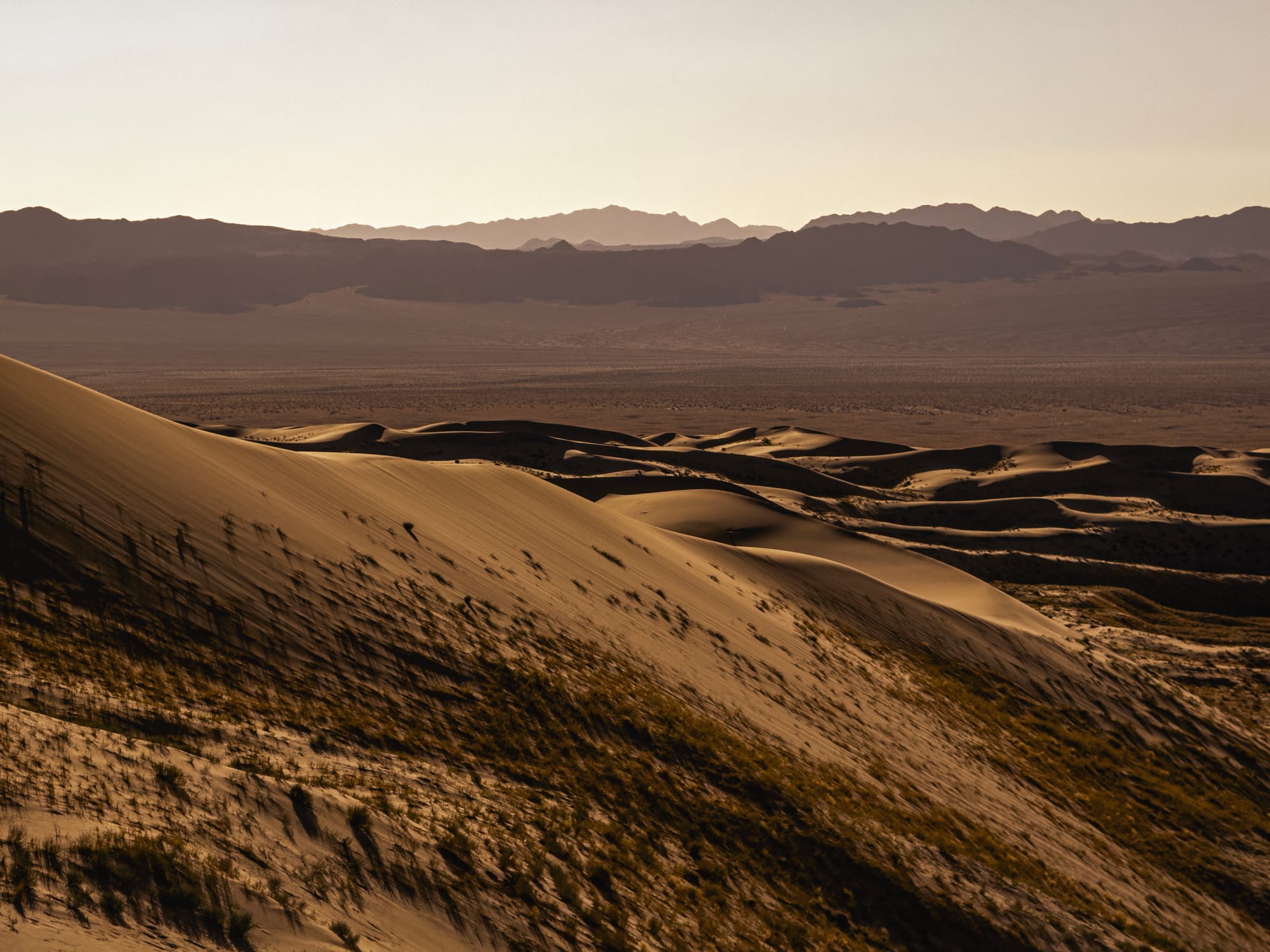 An iPhone 16 Pro mounted on a tripod in a desert landscape setting.