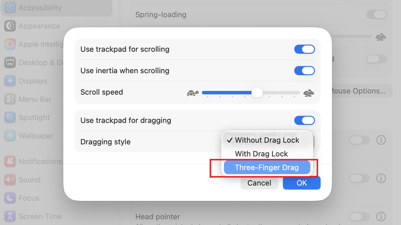 MacOS Accessibility settings showing the Pointer Control options with Three-finger drag selected.