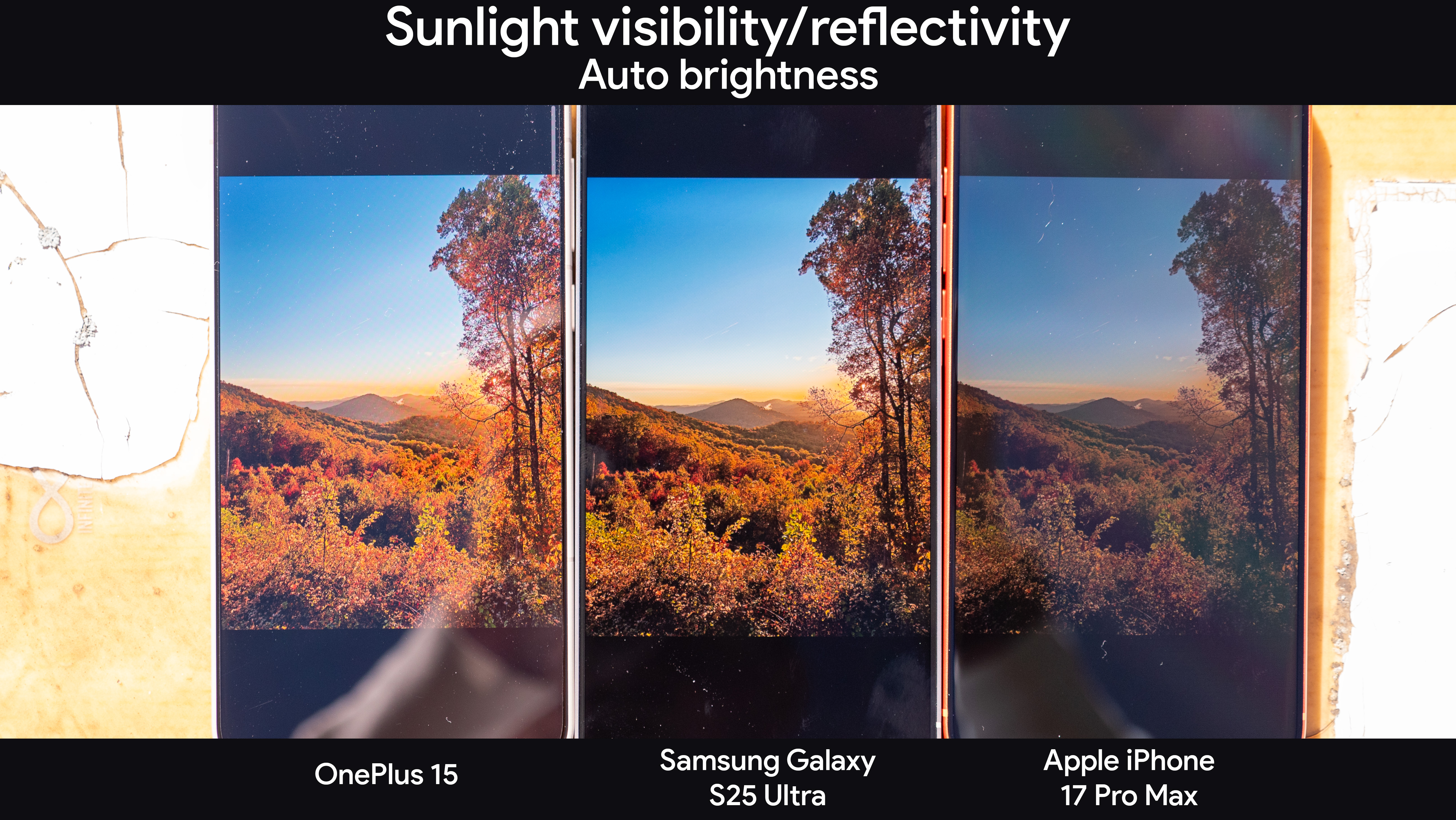 Side-by-side comparison of the OnePlus 15, Samsung Galaxy S25 Ultra, and iPhone 17 Pro Max in bright sunlight.