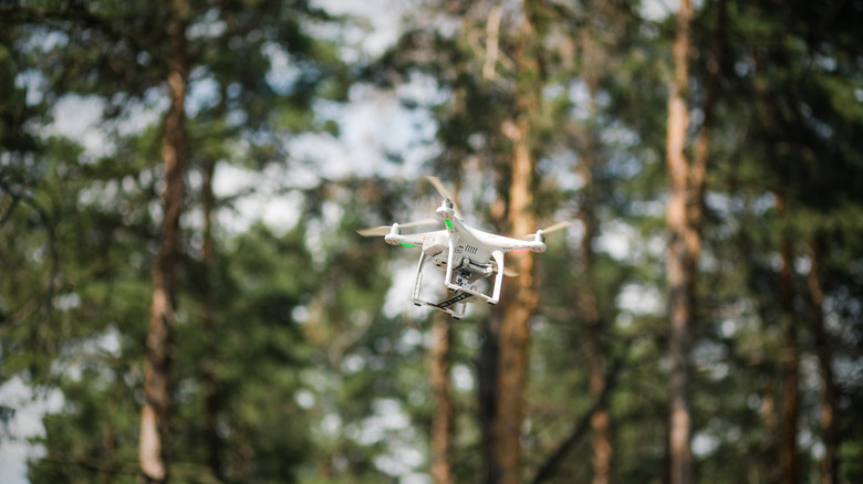 A white drone flying through a dense forest environment.